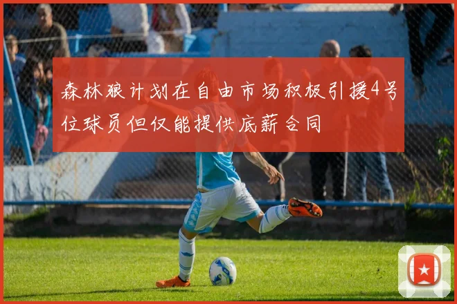 森林狼计划在自由市场积极引援4号位球员但仅能提供底薪合同