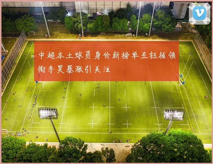 中超本土球员身价新榜单王钰栋领衔李昊暴涨引关注